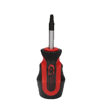 ERGOTORQUEplus® Schraubendreher für Innenvierkantschrauben, #02, 98mm