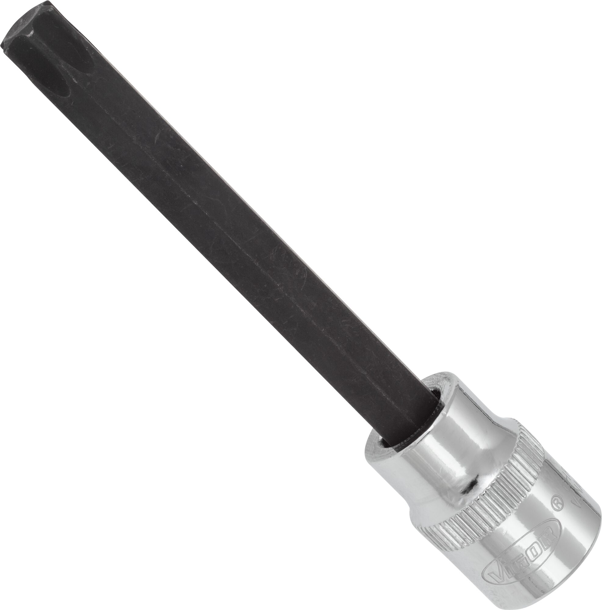 VIGOR T Schraubendreher-Einsatz · V6090 · Vierkant hohl 10 mm (3/8 Zoll) · Innen TORX® Profil · T50