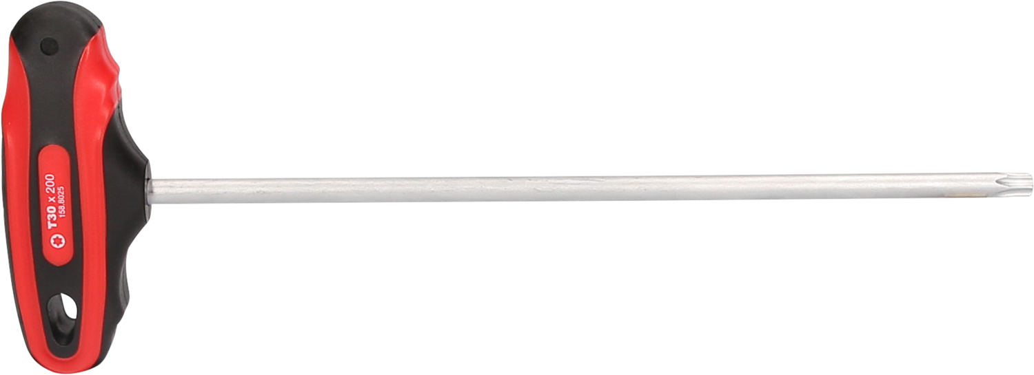 T-Griff-Torx-Stiftschlüssel, T30
