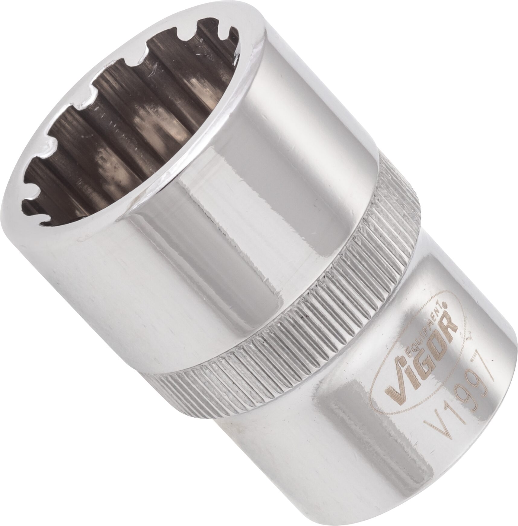 VIGOR Multiprofil Steckschlüsseleinsatz · V1997 · Vierkant hohl 12,5 mm (1/2 Zoll) · Multiprofil · 19 mm