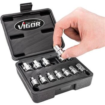 VIGOR Doppelsechskant-Steckschlüssel Satz · V7514/13 · Vierkant hohl 6,3 mm (1/4 Zoll) · Außen Doppel-Sechskant Profil · 25 mm · Anzahl Werkzeuge: 13