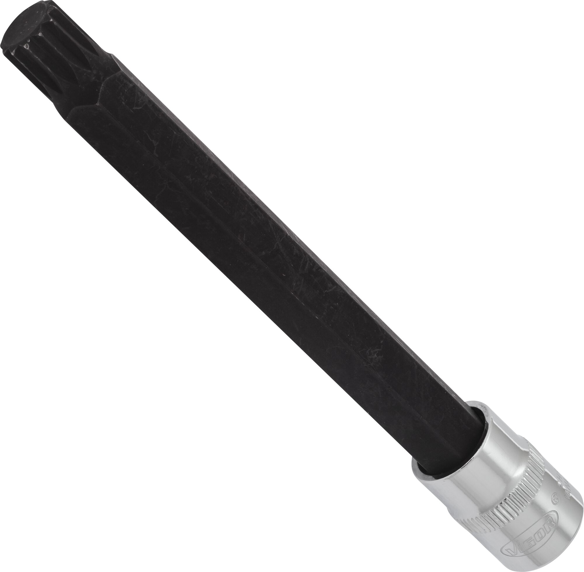VIGOR Schraubendreher-Einsatz · V6126 · Vierkant hohl 10 mm (3/8 Zoll) · Innen Vielzahn Profil XZN · M12