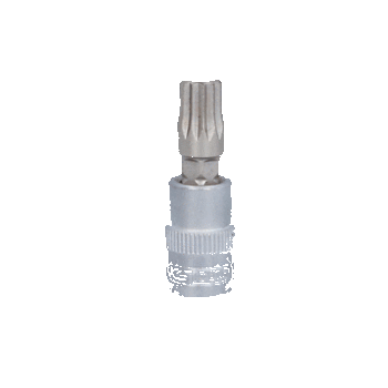1/4" Bit-Stecknuss XZN, M8