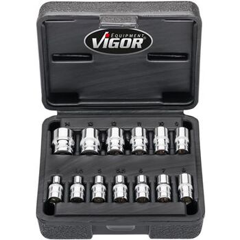 VIGOR Doppelsechskant-Steckschlüssel Satz · V7514/13 · Vierkant hohl 6,3 mm (1/4 Zoll) · Außen Doppel-Sechskant Profil · 25 mm · Anzahl Werkzeuge: 13