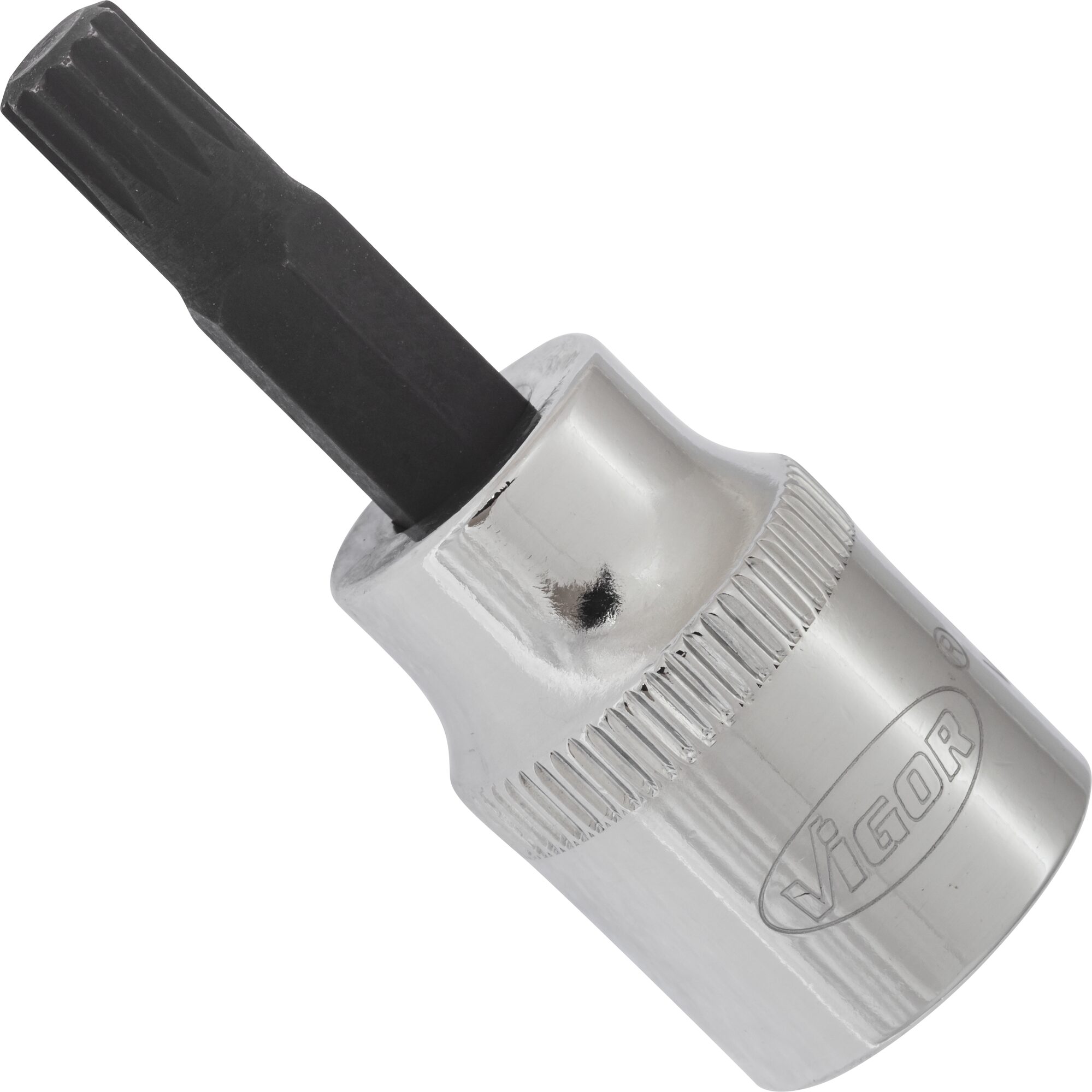 VIGOR Innenvielzahn Schraubendreher-Einsatz (XZN) · V6107 · Vierkant hohl 10 mm (3/8 Zoll) · Innen Vielzahn Profil XZN · M6