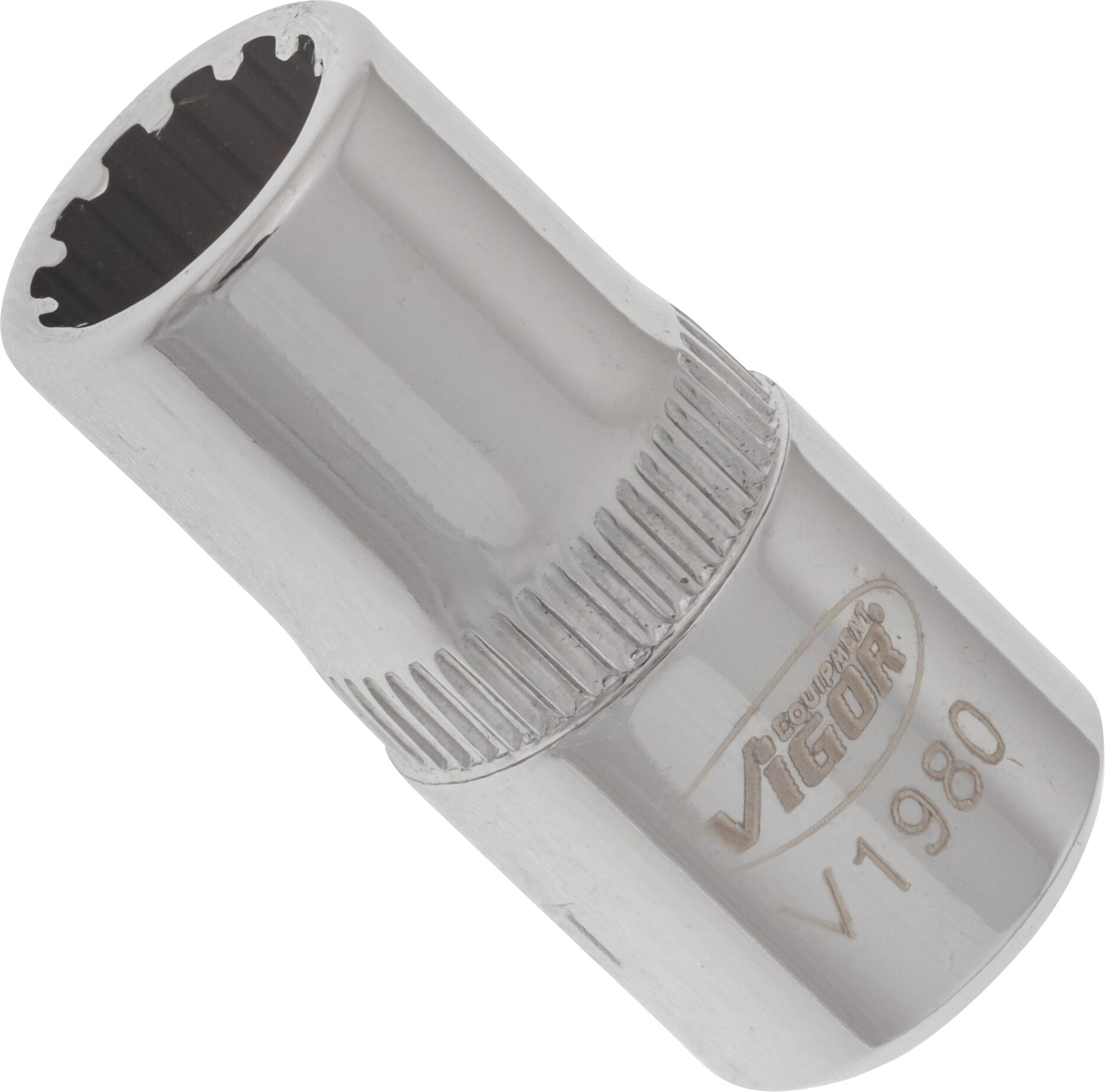 VIGOR Multiprofil Steckschlüsseleinsatz · V1980 · Vierkant hohl 6,3 mm (1/4 Zoll) · Multiprofil · 7 mm