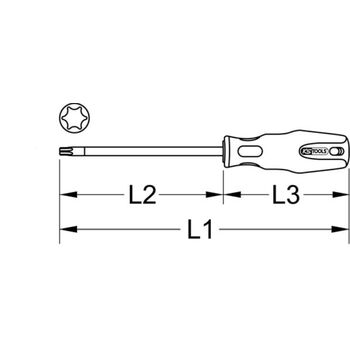 ERGOTORQUEplus Schraubendreher, T25