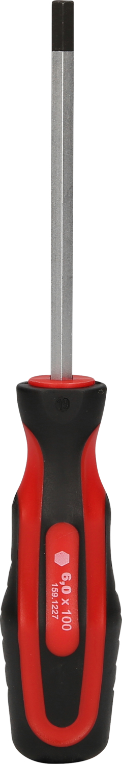 ERGOTORQUEplus Schraubendreher für Innensechskantschrauben, 6mm