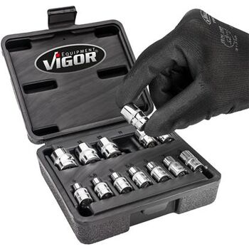 VIGOR Doppelsechskant-Steckschlüssel Satz · V7514/13 · Vierkant hohl 6,3 mm (1/4 Zoll) · Außen Doppel-Sechskant Profil · 25 mm · Anzahl Werkzeuge: 13