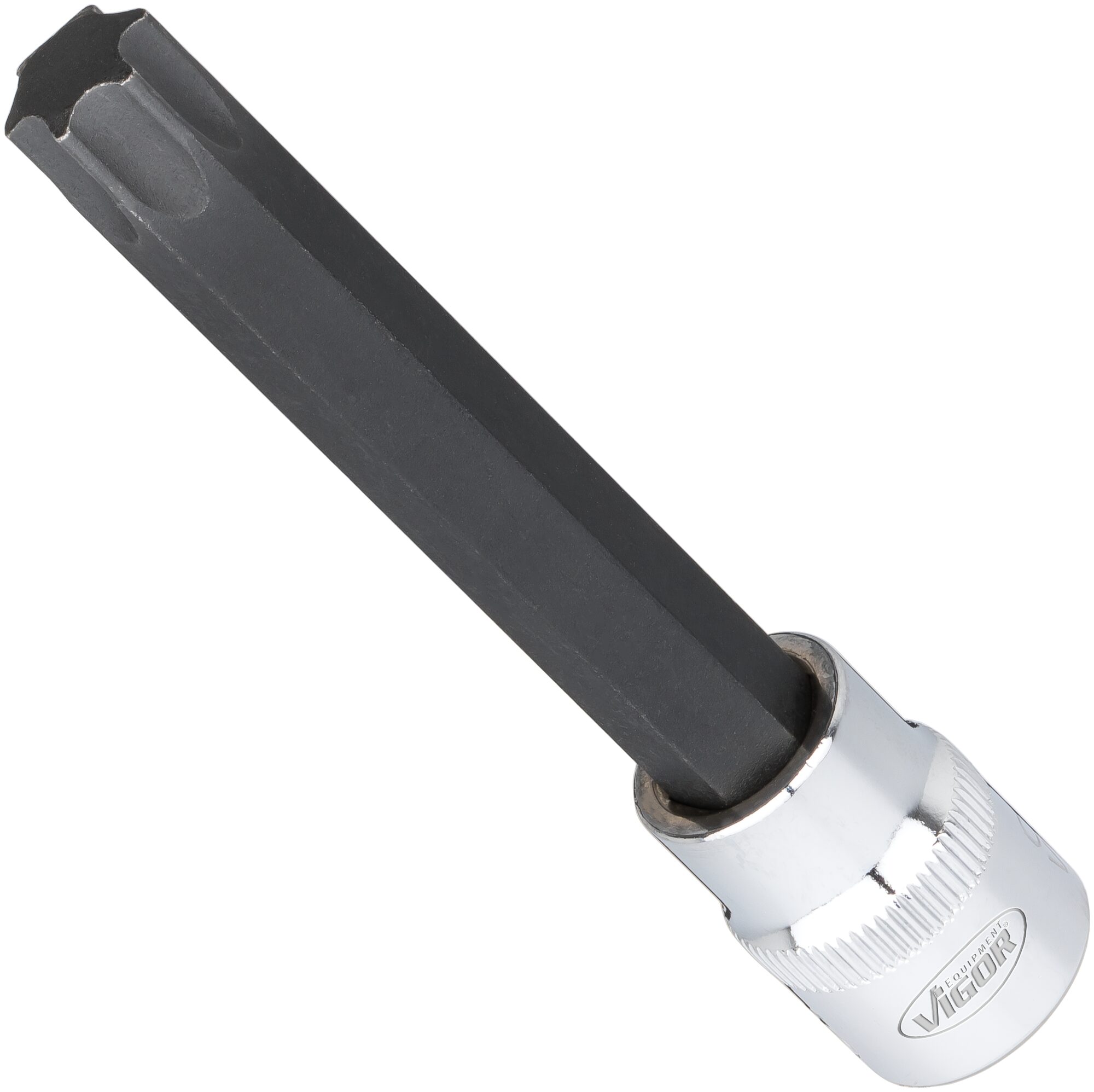 VIGOR T Schraubendreher-Einsatz Satz · V6017 · Vierkant hohl 10 mm (3/8 Zoll) · Innen TORX® Profil · T20 – T70 · Anzahl Werkzeuge: 32
