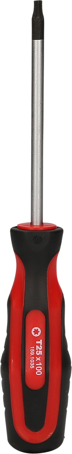 ERGOTORQUEplus Schraubendreher, T25