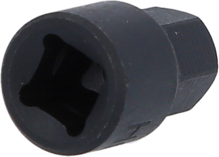 1/4" Bit-Stecknuss für Innensechskant-Schrauben am Bremssattel, 9 mm
