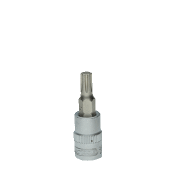 1/4" Bit-Stecknuss für RIBE®-Schrauben, M5, Länge 37 mm