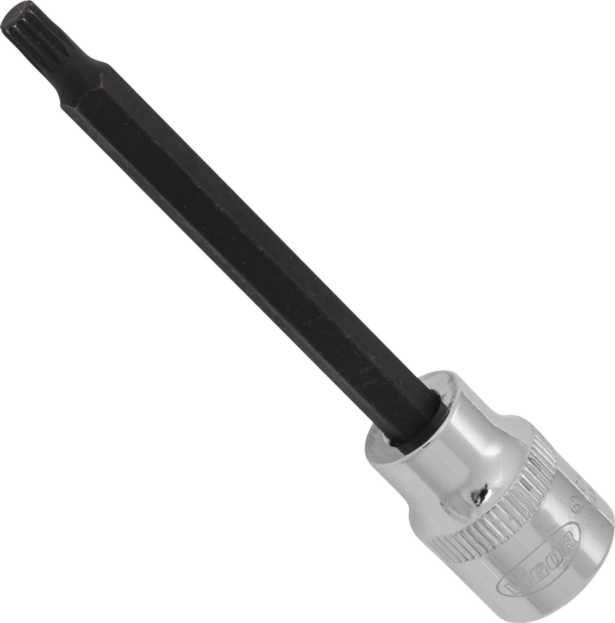 VIGOR Innenvielzahn Schraubendreher-Einsatz (XZN) · V6114 · Vierkant hohl 10 mm (3/8 Zoll) · Innen Vielzahn Profil XZN · M5