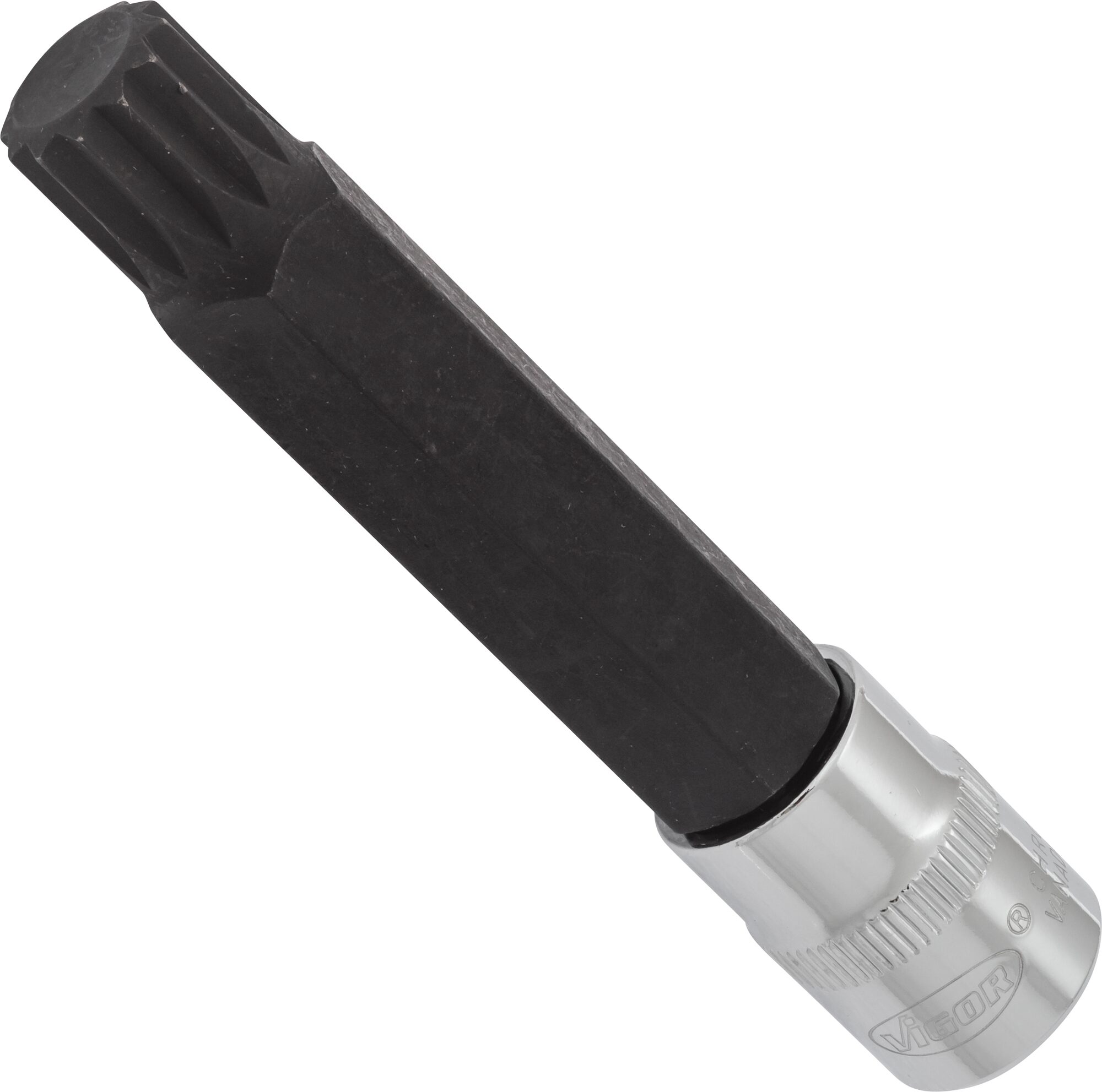 VIGOR Schraubendreher-Einsatz · V6120 · Vierkant hohl 10 mm (3/8 Zoll) · Innen Vielzahn Profil XZN · M14