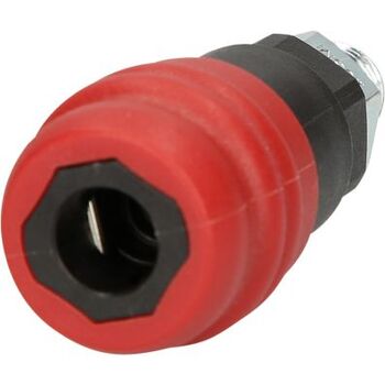 1/4" CHROMEplus Gelenk-Bit-Stecknuss Torx, T25